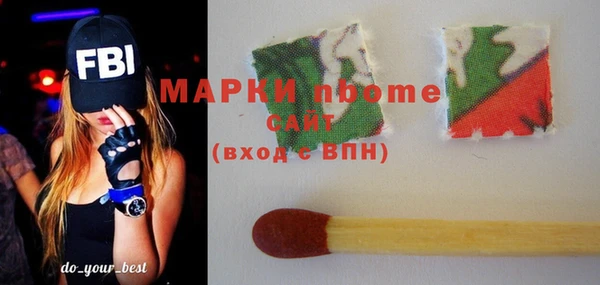 ПСИЛОЦИБИНОВЫЕ ГРИБЫ Гусь-Хрустальный