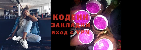 ПСИЛОЦИБИНОВЫЕ ГРИБЫ Гусь-Хрустальный