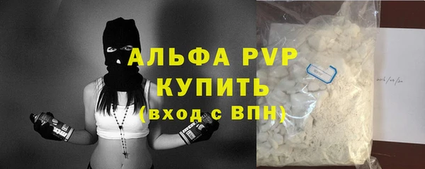 ПСИЛОЦИБИНОВЫЕ ГРИБЫ Гусь-Хрустальный
