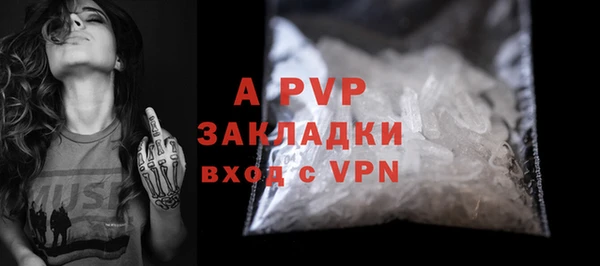 ПСИЛОЦИБИНОВЫЕ ГРИБЫ Гусь-Хрустальный