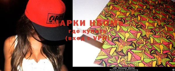 ПСИЛОЦИБИНОВЫЕ ГРИБЫ Гусь-Хрустальный