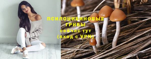 стафф Гусиноозёрск