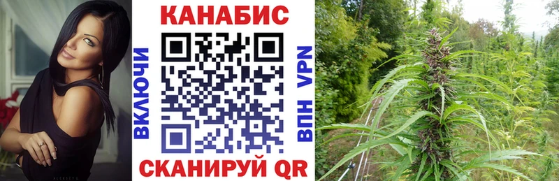 Бошки марихуана тримм  Зима 